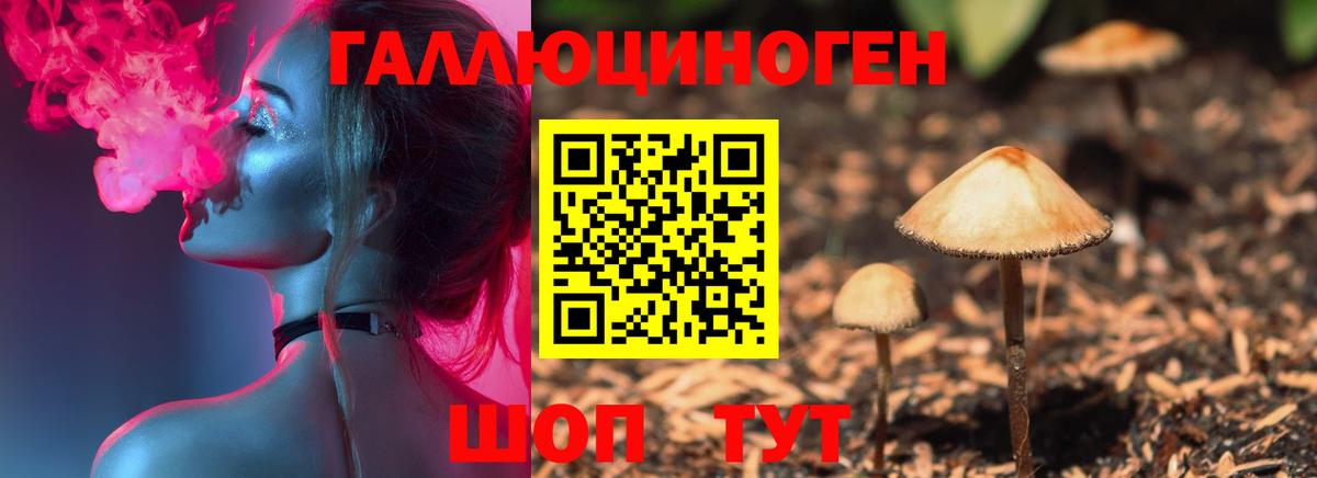 Галлюциногенные грибы Psilocybe Белая Калитва